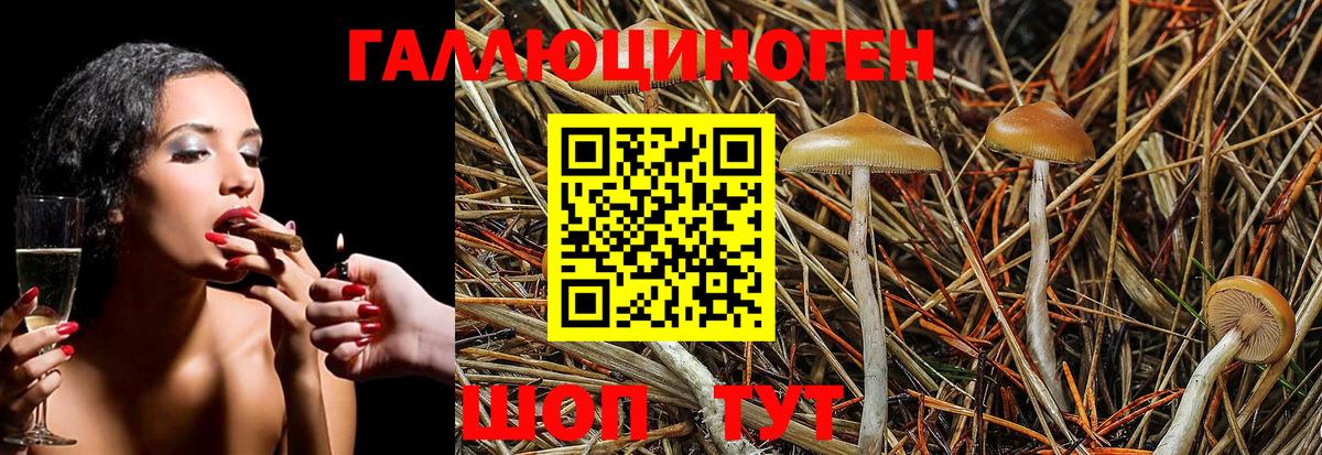 Псилоцибиновые грибы MAGIC MUSHROOMS Котлас