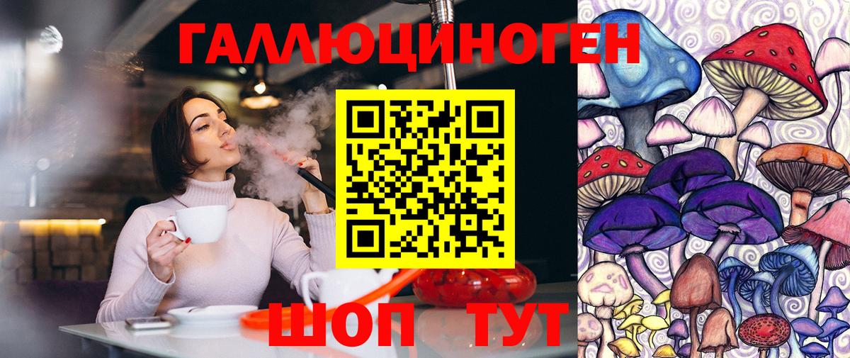 Котлас  Псилоцибиновые грибы Psilocybe  Вход с VPN 